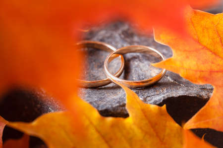 Wedding rings with golden autumn leaves and stoneの写真素材
