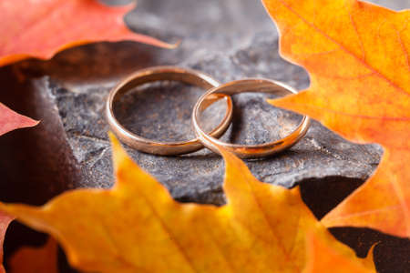 Two wedding-ring on old yellow foilageの写真素材