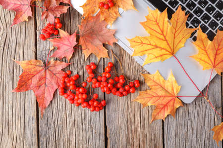 autumn fall flat lay, top view home office table desktop