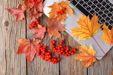 autumn fall flat lay, top view home office table desktopの写真素材