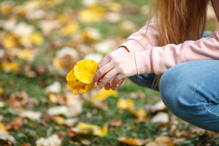 Girl hands with yellow leaves in forest