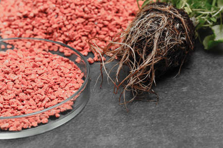 Garden background with mineral fertilizers balls. Complex mineral fertilizer with sodium, phosphorus for flowers, plant, treeの写真素材