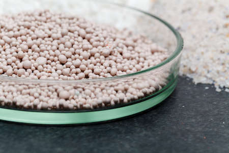 Dap fertilizer in cups on tableの写真素材