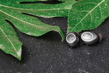 Wireless earphones close up view on black stoneの写真素材