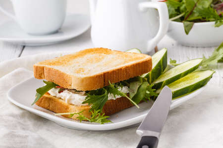 Healthy toast with goats cheese, avocado, arugula and sun dried tomatoes on rustic wooden tableの写真素材