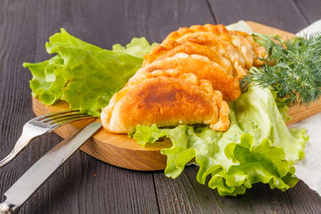 Fried pie with meat and sauces. Hot homemade empanada. Delicious snackの写真素材