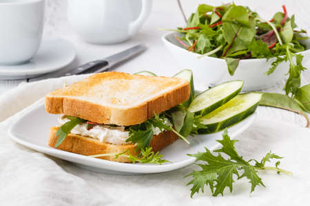 Sandwich with fresh lettuce,basil and cream cheeseの写真素材