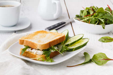 Fresh toast with cheese and herbsの写真素材