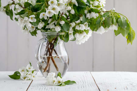 Bouquet of spring apple tree flowers in a vase. Romantic floral still lifeの写真素材