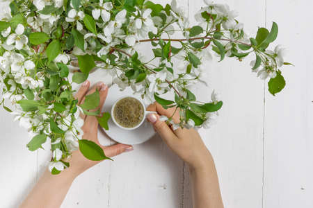 Romantic coffee in the blossoming garden, spring breakfastの写真素材