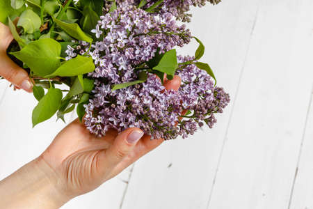 Woman in dress holding a big branch of lilac flower in her handの写真素材