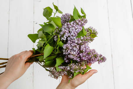 spring lilac bouquet in the woman handsの写真素材