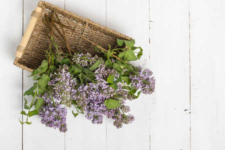 Purple lilac flowers bunch in a basket on wooden tableの写真素材