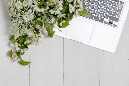 Apple blossom on wooden background. Copy spaceの写真素材