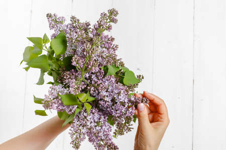 Woman in dress holding a big branch of lilac flower in her handの写真素材