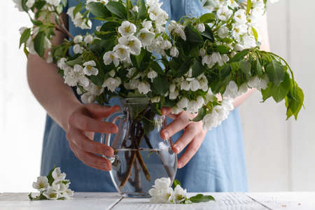 Bouquet of spring flowers in the hands of a girl on a background of blue dress. Blooming apple tree in springの写真素材