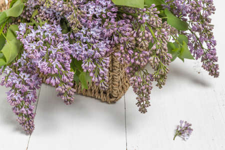 Purple lilac flowers bunch in a basket on wooden tableの写真素材