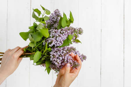 Woman holding a big branch of lilac flower in her handの写真素材