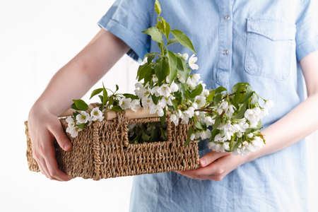 Close-up of woman's hand holding a branch of spring blooming apple tree.Florist conceptの写真素材
