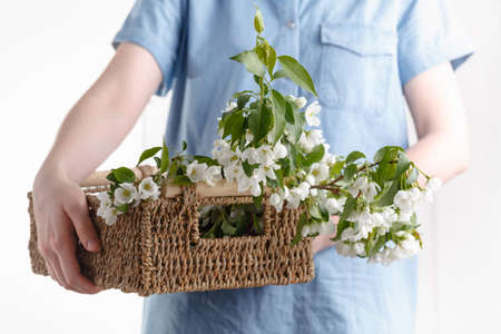 Bouquet of spring flowers in the hands of a girl on a background of blue dress. Blooming apple tree in springの写真素材