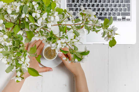 Modern feminine workplace concept. Laptop, coffee, beautiful apple tree flowers  on the white table, top viewの写真素材