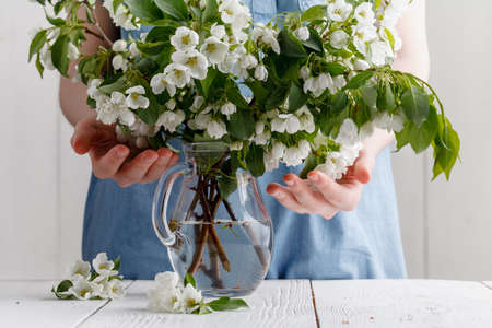 woman hands holding apple blossom in her handsの写真素材