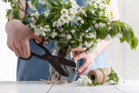 Close-up of woman's hand holding a branch of spring blooming apple tree.Florist conceptの写真素材