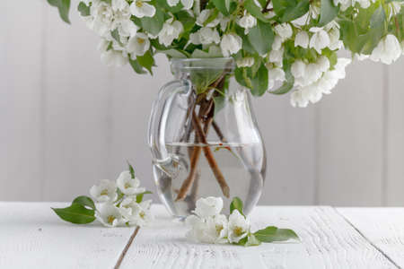 Bouquet of spring apple tree flowers in a vase. Romantic floral still lifeの写真素材