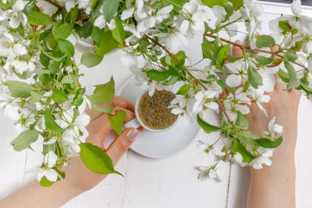 Hand holding coffee cup on white backgroundの写真素材