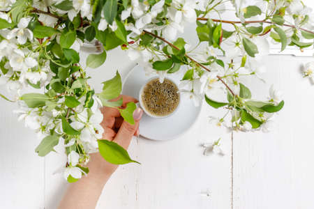 Apple blossom on wooden background. Copy spaceの写真素材