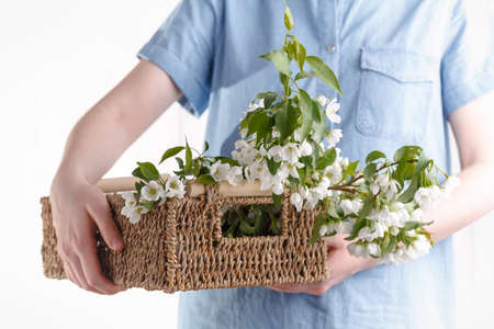 Tenderness female hands with spring flowers. Concept of tenderness, skin care, the hands of the girl hold spring flowersの写真素材