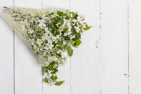 Branch with White Spring Blossoms in Glass Vaseの写真素材