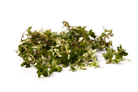 Thyme isolated on white background. Macroの写真素材