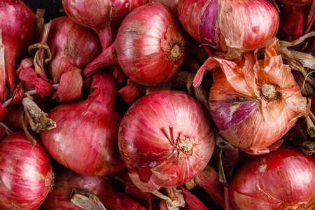 Shot Of Purple Onions. Fresh whole purple onionsの写真素材