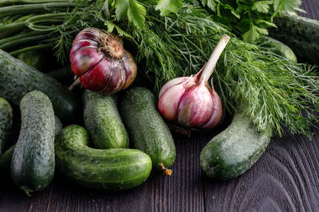 The ripened vegetable marrowsの写真素材