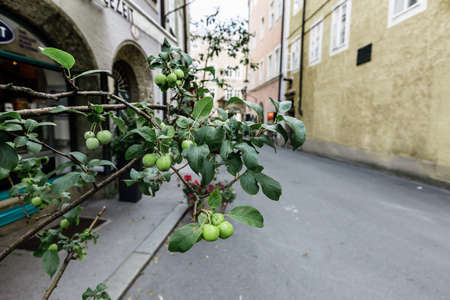 Street view in old european townの写真素材