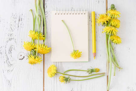 Female workspace with bouquet of dandelions, notebook, stationery supplies on white background