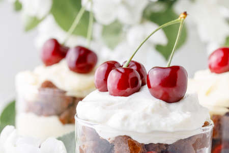 Trifle English cuisine dessert made with cherry fruitの写真素材