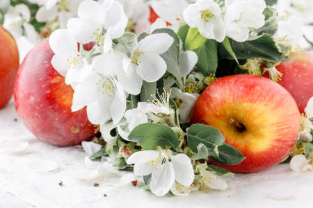 Close up view of red appleの写真素材