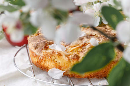 Freshly baked Apple pie on the table with apples, piece in plateの写真素材