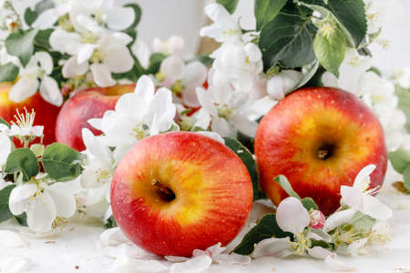 Close up view of red appleの写真素材