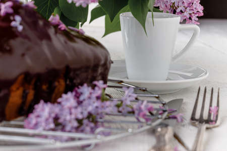 Classic chocolate cake on a white background with flowersの写真素材