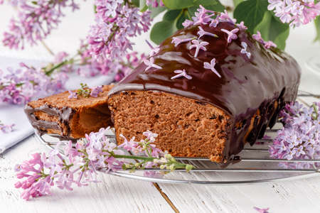 Classic chocolate cake on a white background with flowersの写真素材