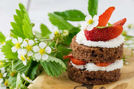 Small tartlets with strawberries and mascarponeの写真素材