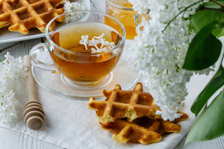 Breakfast Belgian waffles with chocolate syrup and fresh mint. White background.の写真素材