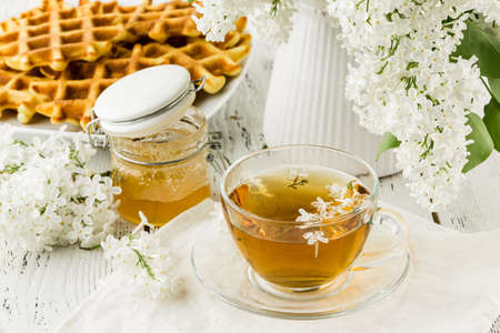 Breakfast Belgian waffles with chocolate syrup and fresh mint. White background.の写真素材