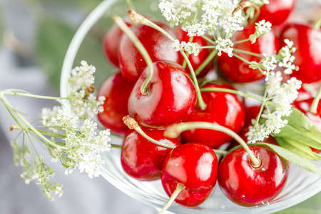 ripe cherries in water drops with leaves on a napkin.