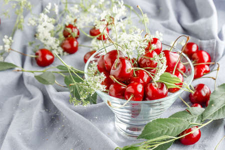 ripe cherries in water drops with leaves on a napkin.の写真素材