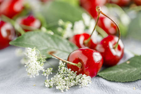 Harvest of freshly harvested sweet cherries close-up. Ripe red and black sweet berries from their own garden. Healthy sweet food.の写真素材