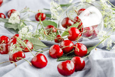 Harvest of freshly harvested sweet cherries close-up. Ripe red and black sweet berries from their own garden. Healthy sweet food.の写真素材